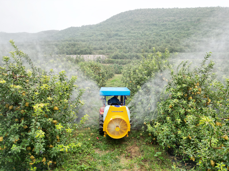 背负式风送果园喷雾机给苹果树打药